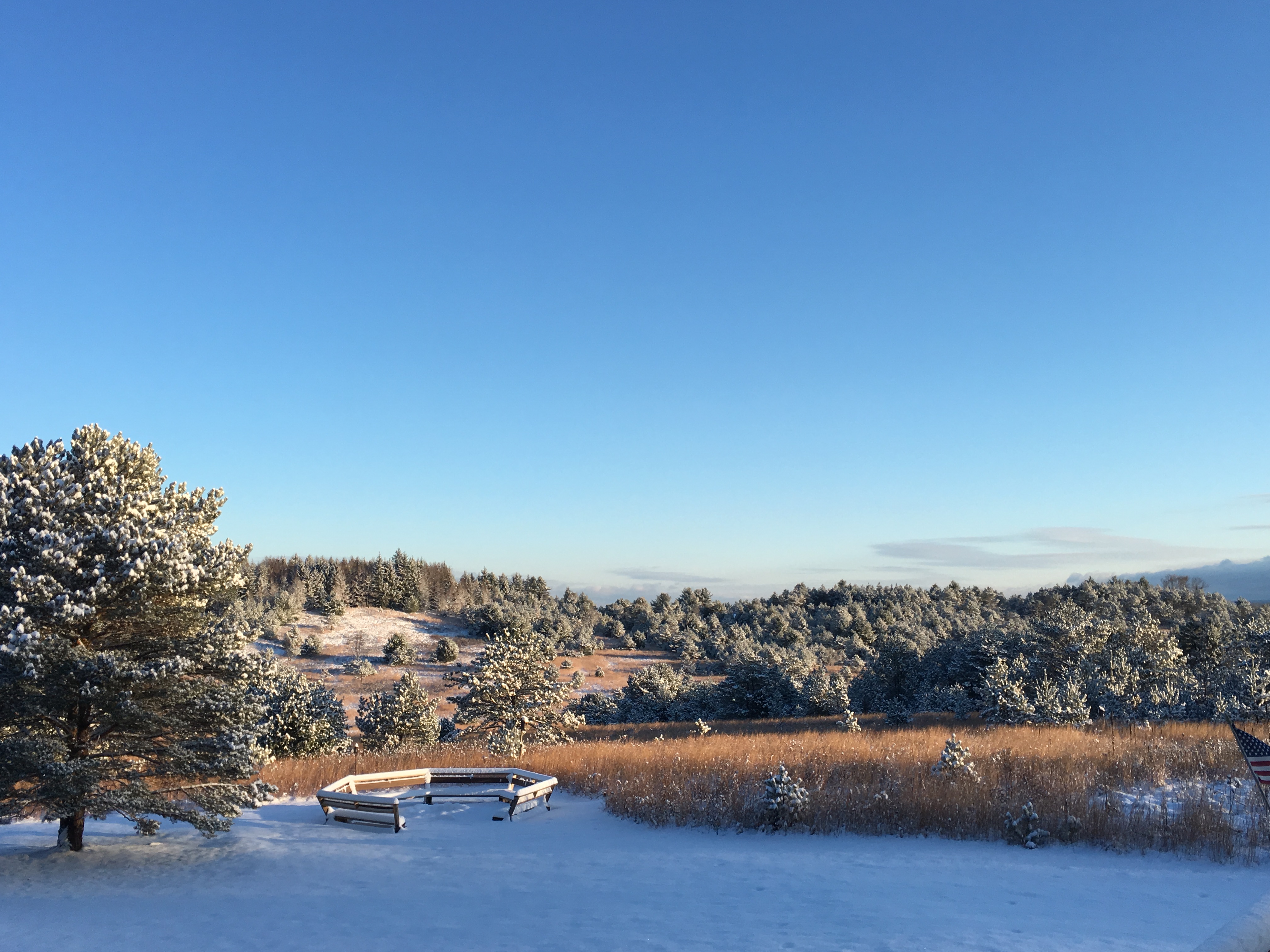 Winter Landscape